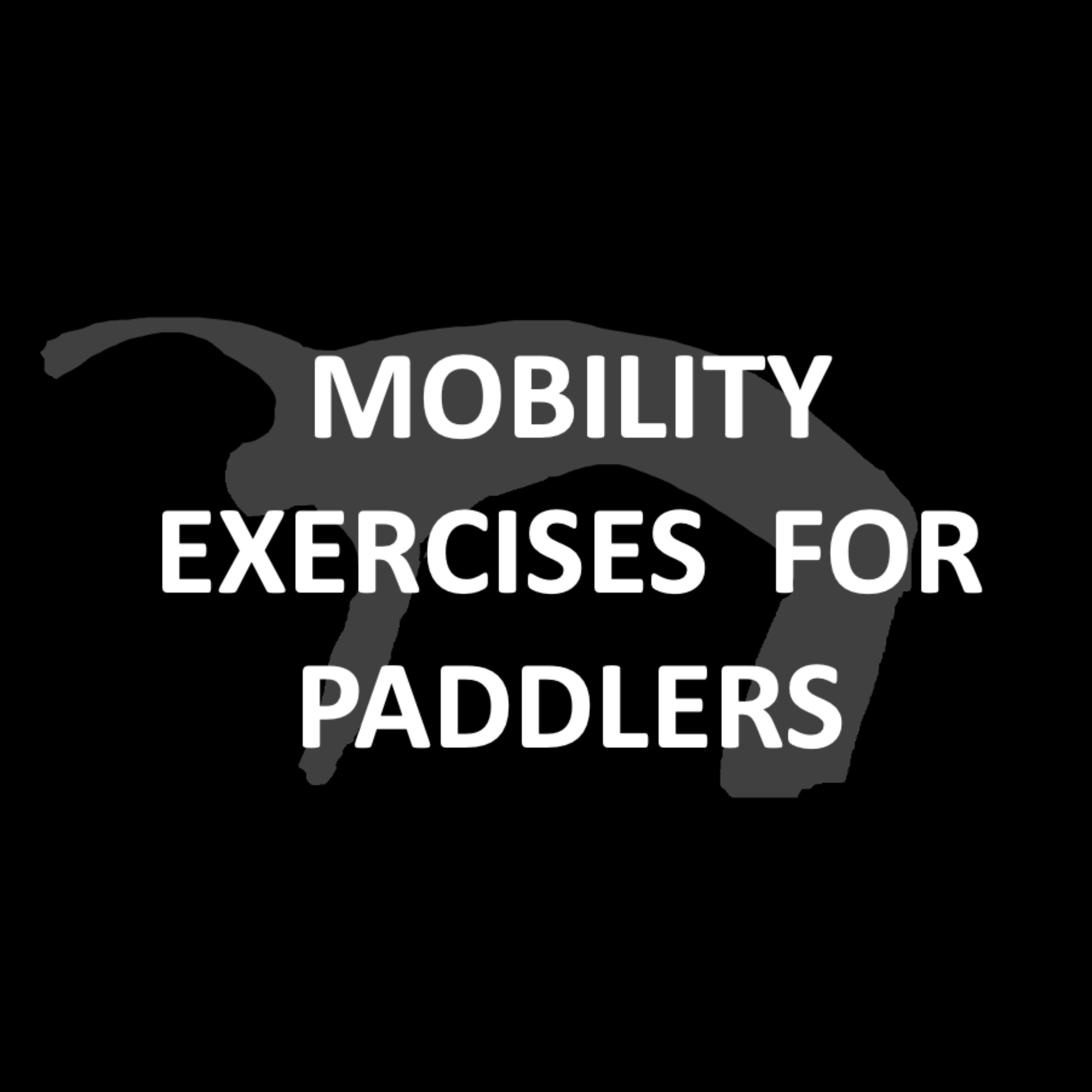 Paddling mobility exercises